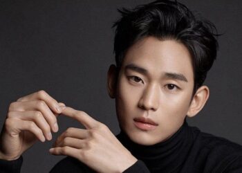 Kim Soo-hyun : Présentation complète