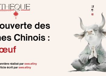 Fiche Manga : Fruits Basket [Perfect Edition]