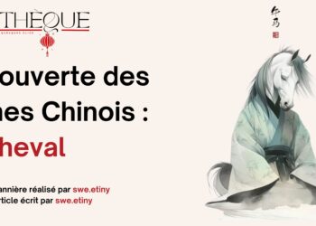 Fiche Manga : Fruits Basket [Perfect Edition]