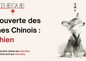 Fiche Manga : Fruits Basket [Perfect Edition]