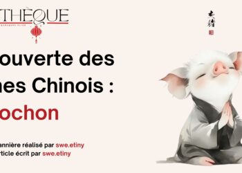 Fiche Manga : Fruits Basket [Perfect Edition]