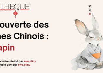 Fiche Manga : Fruits Basket [Perfect Edition]