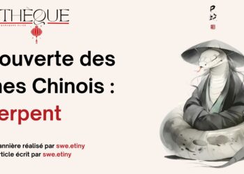 Fiche Manga : Fruits Basket [Perfect Edition]