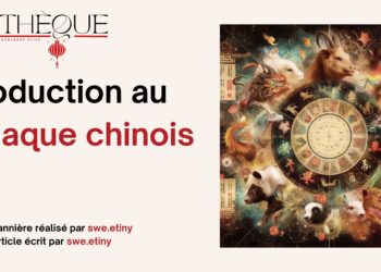 Fiche Manga : Fruits Basket [Perfect Edition]